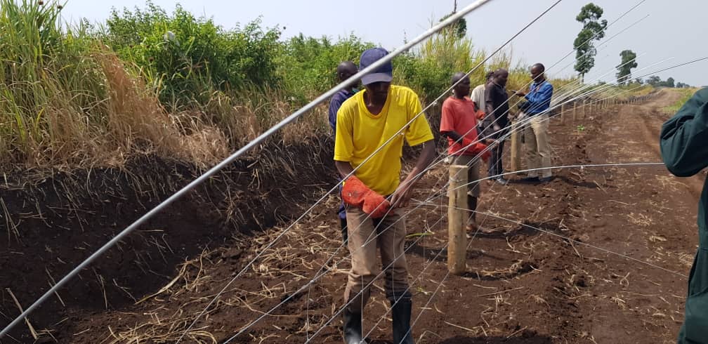 Locals and UWA staff working on the electric fence