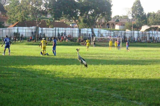 Luzira Prions grounds in sorry state, players share it with wildlife