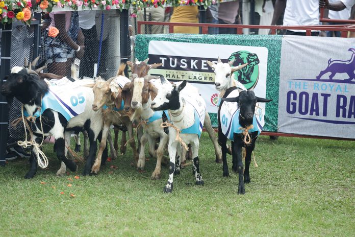 Ruparelia Foundation To Construct Ghetto Sanitation Facility Out Of Goat Race Proceeds