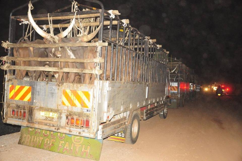 Minister Joy Kabatsi Warns Butchers Over Animal Rights