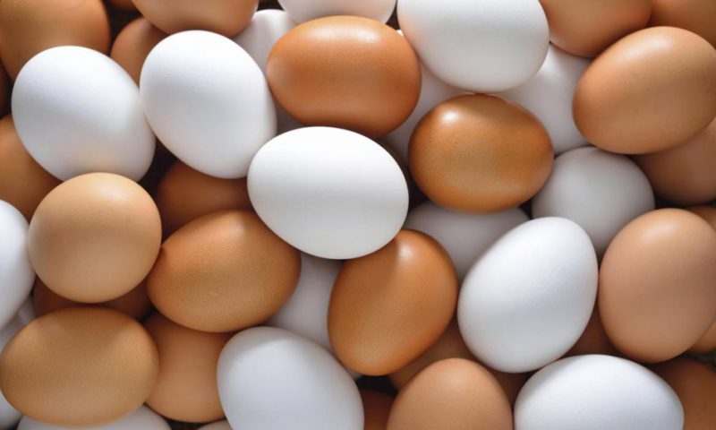 Fresh Trade War! Kenya Slaps Uganda With New Taxes On Eggs