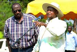 I Will Arrest You: Museveni Threatens To Arrest Gen.Saleh, OWC Officials For Distribution Of  ‘Fake’ Cattle Breeds!