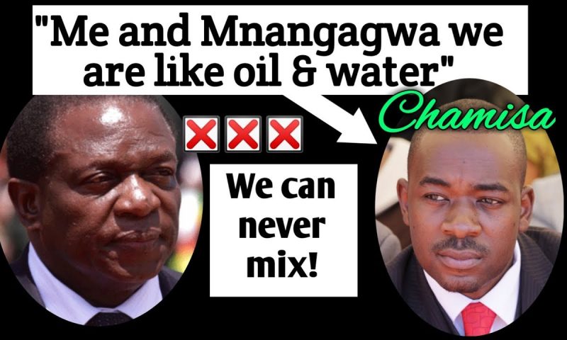 Mnangagwa, Chamisa Head For Showdown As Opposition Insist They Won Presidency!