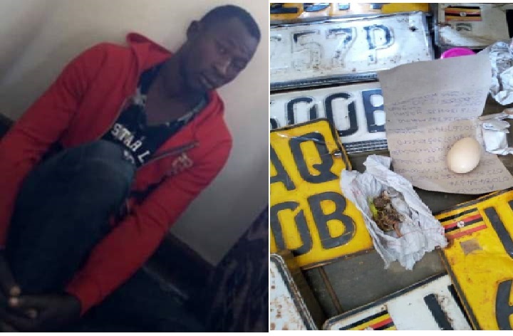 Notorious Number Plate Thief Arrested