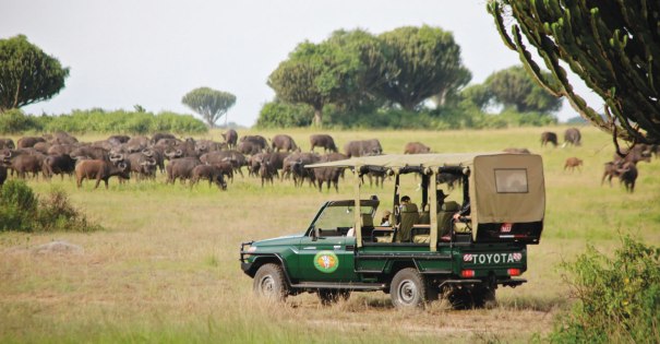 An American Tourist Kidnapped In Queen Elizabeth National Park, Kidnappers Asks For USD500,000 Ransom!