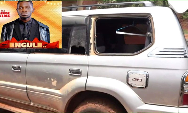MPs Bobi Wine, Zaake Brutally Arrested Over Kyarenga Concert