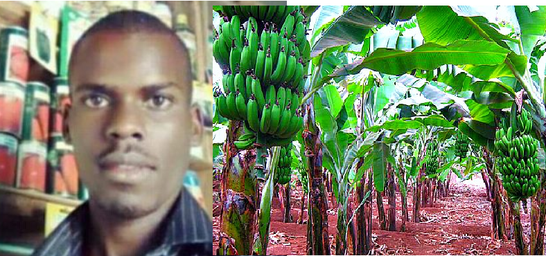 Farmers Guide With Mugenyi Joseph: Pest Management In Bananas