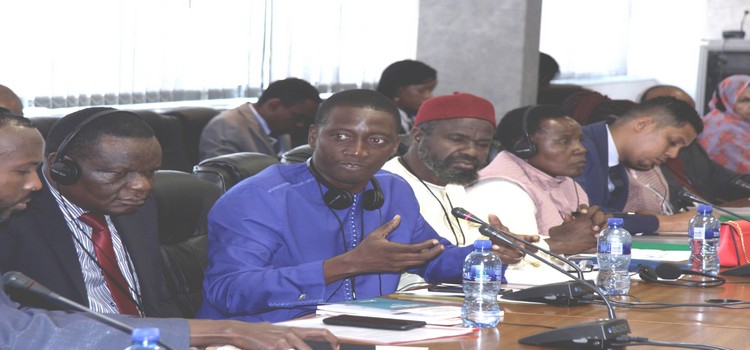 PAP Legislators Call For Free Movement Of Africans