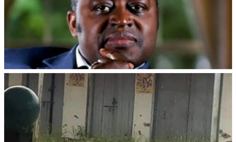 Rodents, Cockroaches Take Over Omusinga Mumbere’s Offices