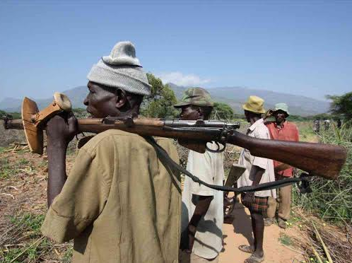 Worried Ugandans Beg Kenyan Gov’t To Disarm Turkana, Pokot To Tighten Security