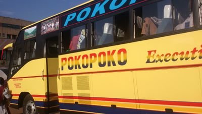 Pokopoko Bus Crashes Two People Dead
