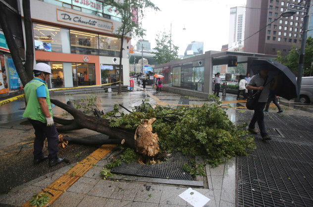 Typhoon Claims Lives, Many Injured