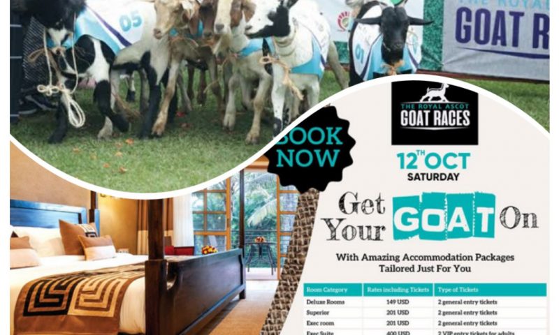 City Partiers Warm Up For This Saturday’s Royal Ascot Goat Race 2019 At Speke Resort Munyonyo
