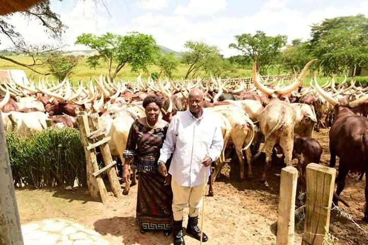 President Museveni Hosts Speaker Kadaga, American Investors At His Kisozi Farm