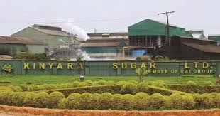 Tough Times: Tears As Kinyara Sugar Axes Thousands Of Workers In Massive Downsizing