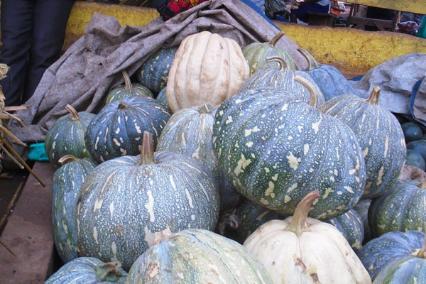 Farmers’ Guide With Joseph Mugenyi: Earning Shs13m  From An Acre Of Pumpkins
