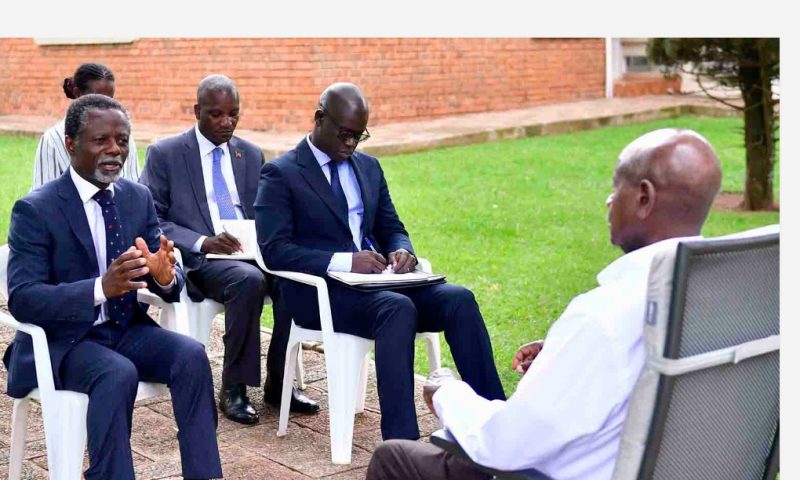Museveni,  UN Envoy To Horn Of Africa Discuss Security, Economic Integration