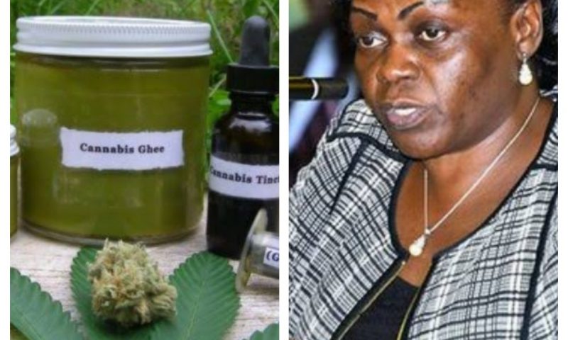 ‘Gov’t To Legalise Marijuana Growing In Uganda’- Min. Opendi
