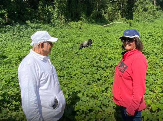 Tycoon Sudhir, Wife Joystna Go Gorilla Tracking In Bwindi Forest