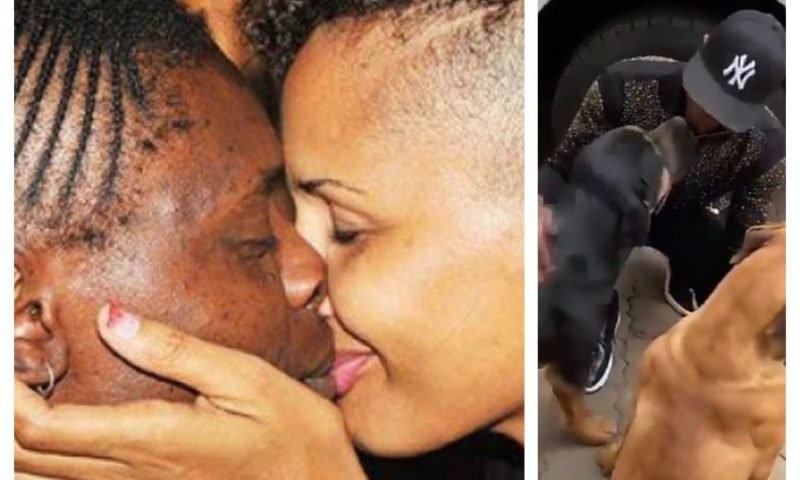Shock As Chameleone Kisses Dogs, Instead Of Wife