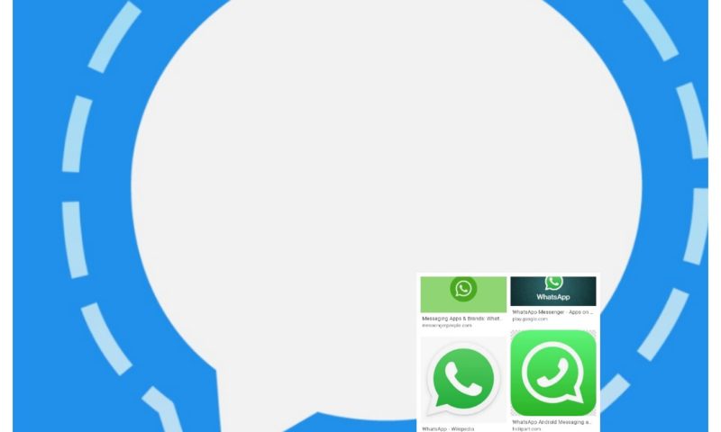 WhataApp Faces Digital ‘Death’ As Signal Messenger Takes Over