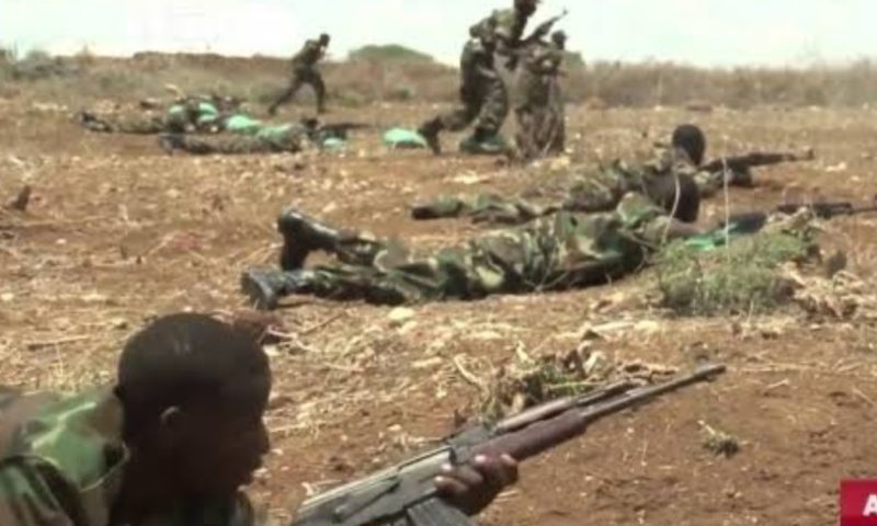 UPDF, AMISOM Troops And Somali Army Capture Jannale After Vicious Battle With Al-Shabaab