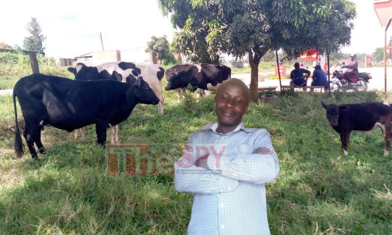 Shame As School Director Is Arrested For Stealing Cattle On Gun Point