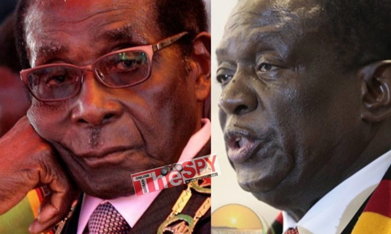 Zimbabwe:President Mnangagwa Offers Land To White Farmers Evicted By Late Mugabe’s Gov’t