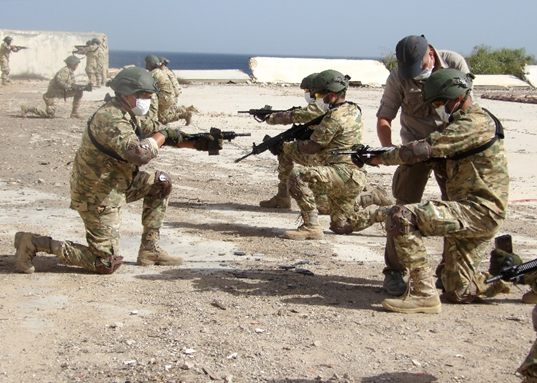 No Cease Fire! Gen. Haftar Begins Training Over 100 Libyan GNA Soldiers