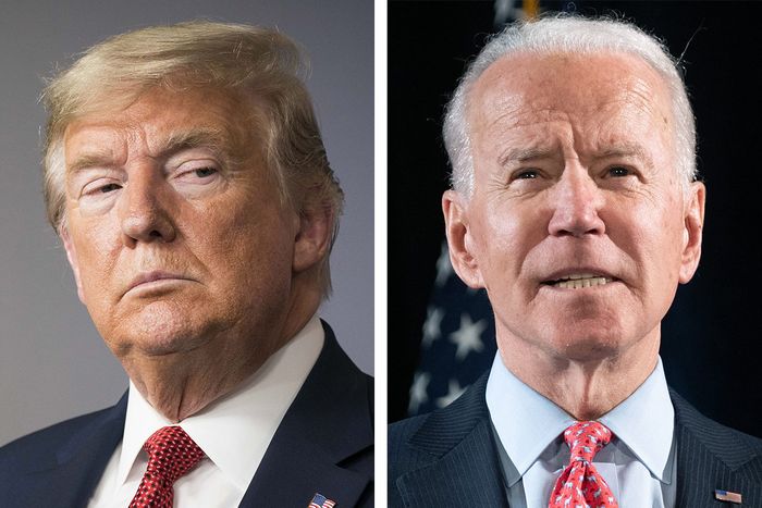 I Will Leave White House When Electoral College Confirms Joe Biden’s Victory! Teary Donald Trump Finally Bows Out