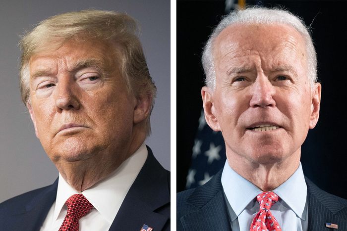 I’m Out! Trump Gives Up, Withdraws Cases Against Biden!