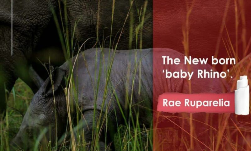 New Born Rhino In Nakasongora Named After Ruparelia