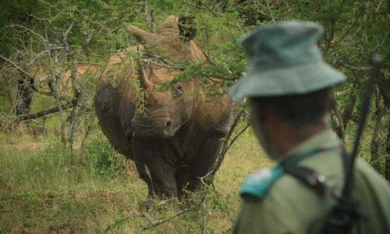 Terrible: Armed Poachers Gun Down Ranger In Kibale National Park