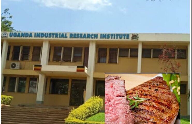 Exclusive: Uganda Industrial Research Institute Serves Market With Human Hand Instead Of Minced Meat, Closes Business!