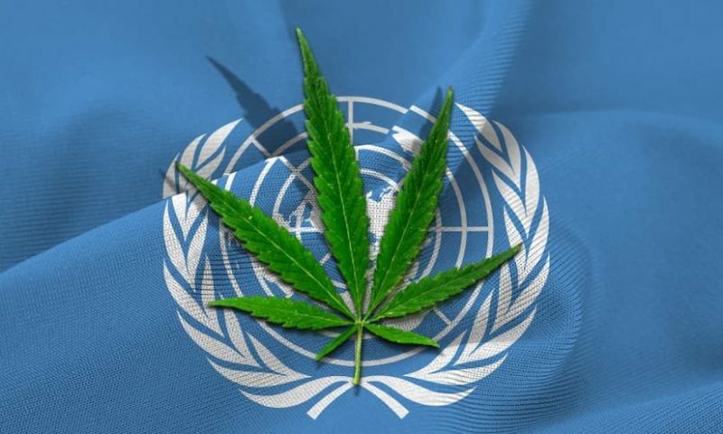 UN Removes Medical Cannabis From List Of Dangerous Drugs
