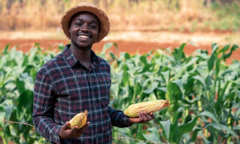 New Farming “Ecosystem” In Uganda Empowers Small Holders