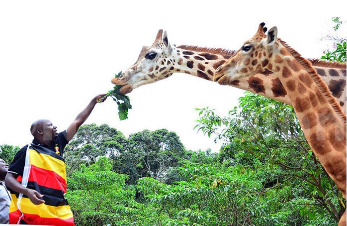 Uganda Tourism Board Launches 6th Pearl Of Africa Tourism Expo