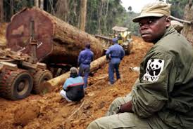 Uganda’s Snoring MPs Wake Up, Demand Tougher Enforcement To Curb Deforestation