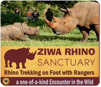 28 Arrested For Vandalizing Ziwa Rhino Sanctuary Amidst Land Disputes