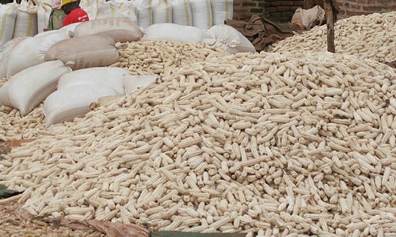 South Sudan To Destroy 120 Tons Of Toxic Ugandan Maize-National Bureau Of Standards