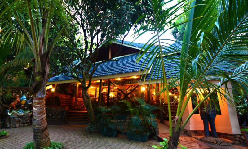 A Home Away From Home: Here Is Why You Must Spend Your Leisure At Sumptuous Forest Cottages