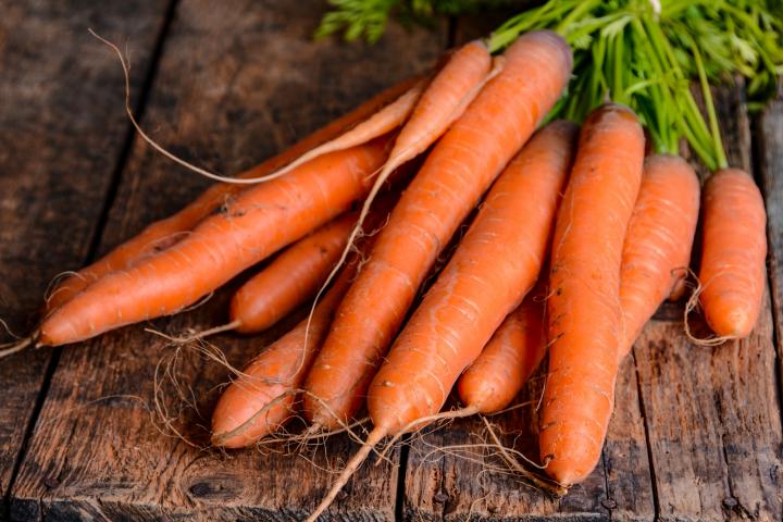 Farmer’s Guide: How & When To Grow Carrots For A Fruitful Harvest