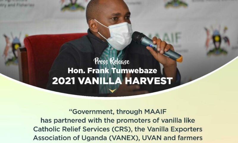 Agriculture Minister Tumwebaze Vows To Boost Vanilla Production As He Announces Harvest Dates