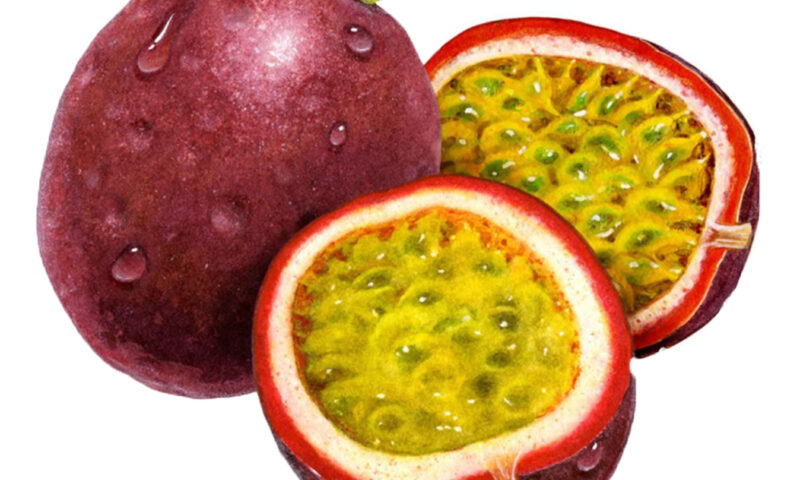 Farmer’s Guide: When & How To Harvest Passion Fruit