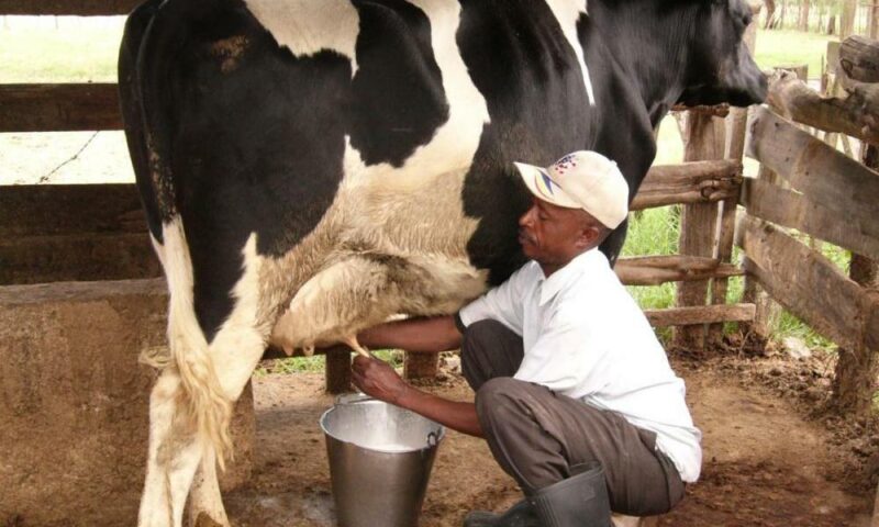 Uganda Dairy Processors Demand Fair Trade Regime In EAC