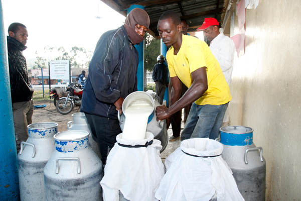 Sorry, Actually Your Milk Is Good: Zambia Finally Lifts Ban On Ugandan Milk After Critical Inspection