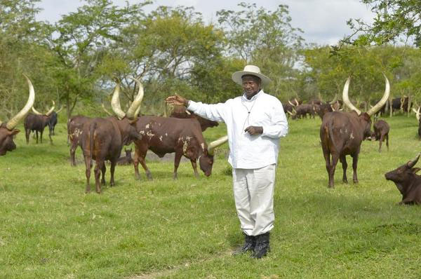 Enough Of This Bacwezi Nonsense! Museveni Sets Touch Conditions For Arrogant Nomadic ‘Balaalo’!