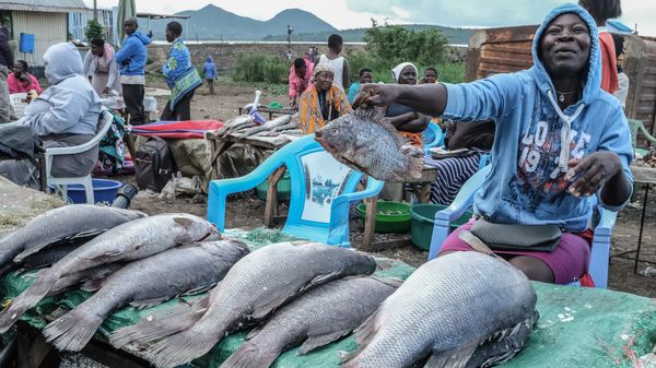 Farmer’s Guide: Fish Farming Is Only Lucrative If You Do The Following