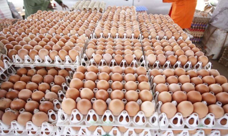 Ministers Rush For Urgent Meeting Over Kenya’s Ban On Uganda’s Poultry Products