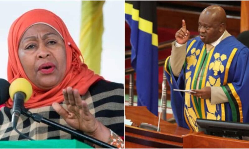 Tanzania’s Speaker Of Parliament Resigns Days After Publicly Blasting President Suluhu